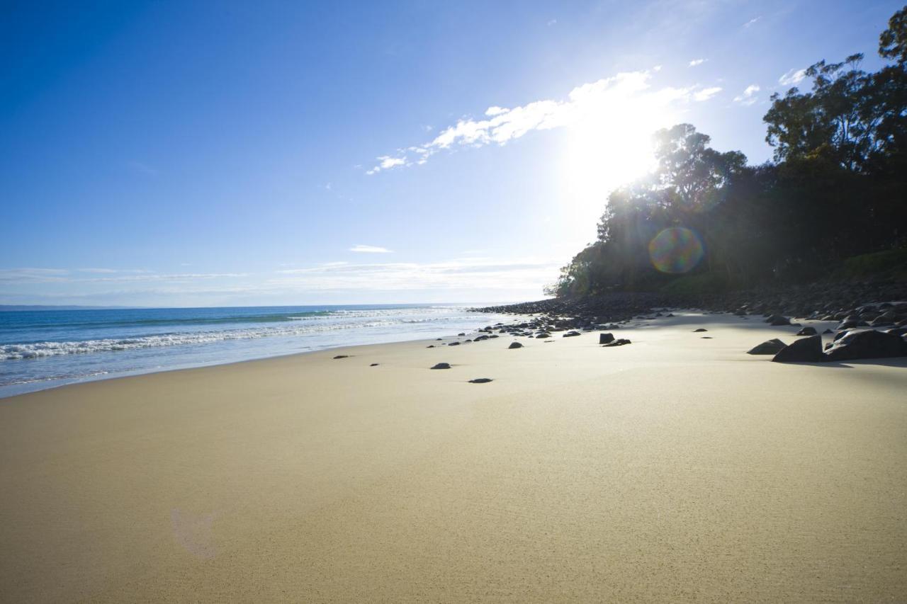 Low Tide on Noosa Sound - Pet Friendly Buitenkant foto